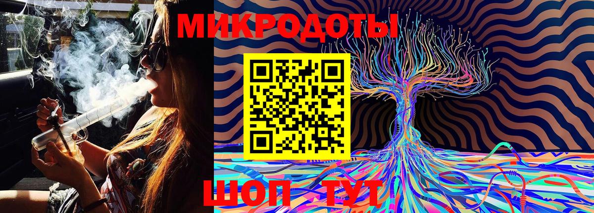 Псилоцибиновые грибы Psilocybe Воткинск