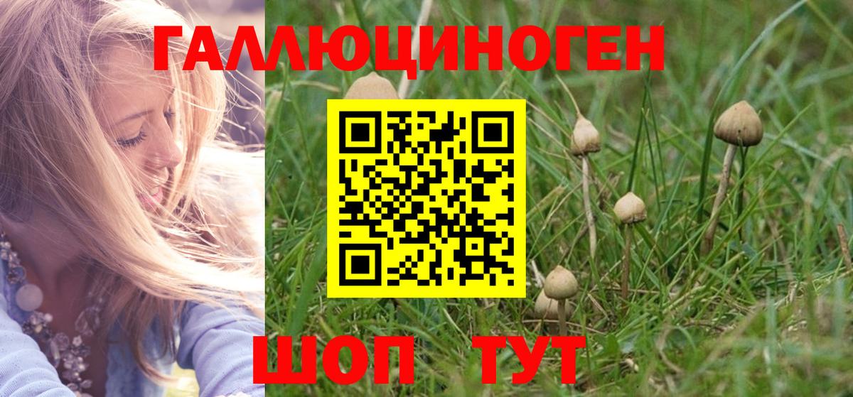 Галлюциногенные грибы мицелий  Галлюциногенные грибы мицелий  Вход с VPN  как найти   Воткинск 